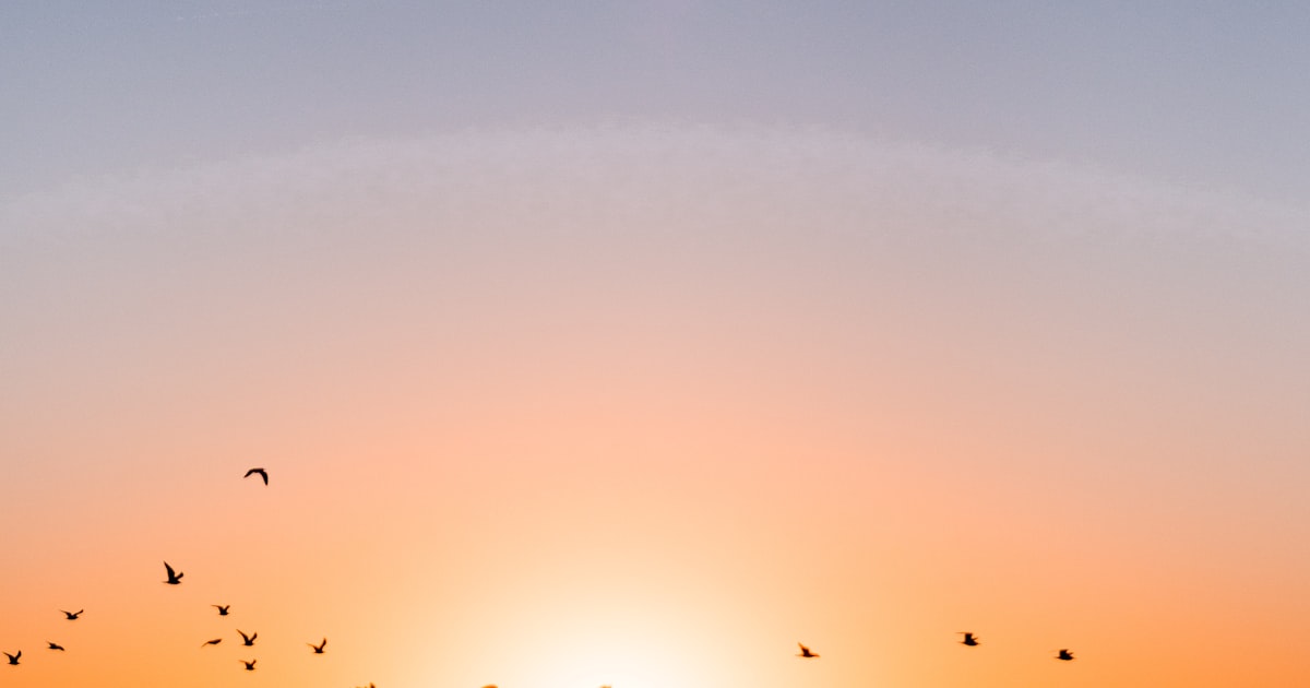 The Agentic AI Foundation's Security Standards Line Up With NanoClaw's Architecture